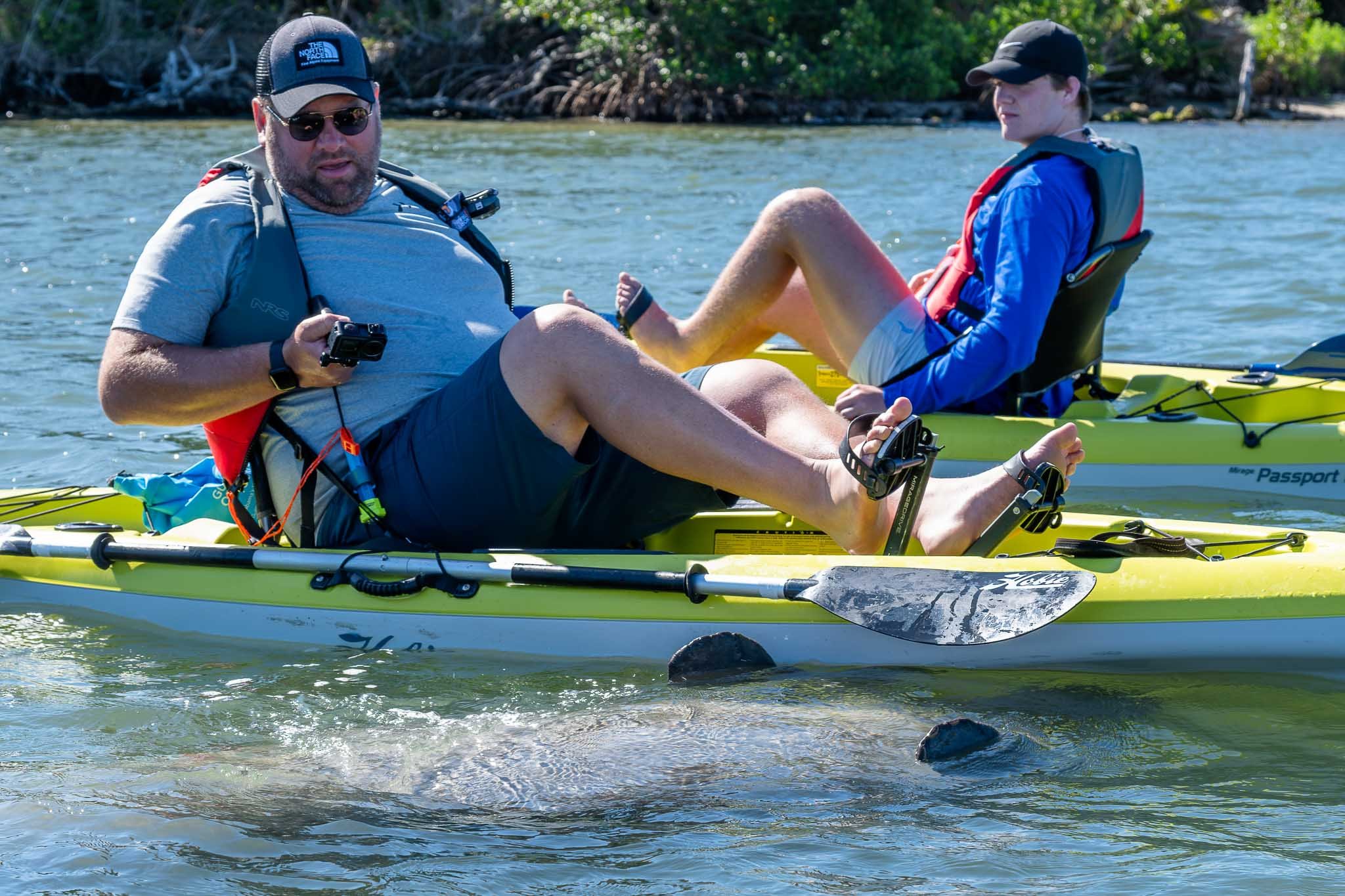 Kayakers watching manatee in water next to kayaks
