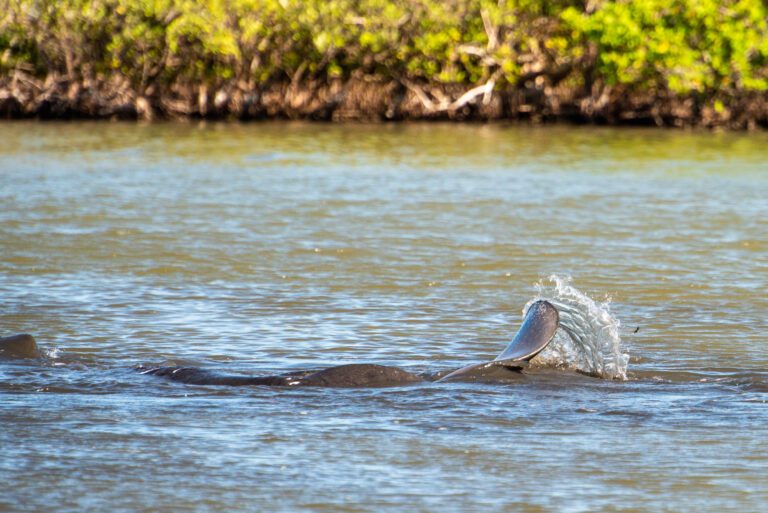 Merritt Island National Wildlife Refuge Boat Ramps